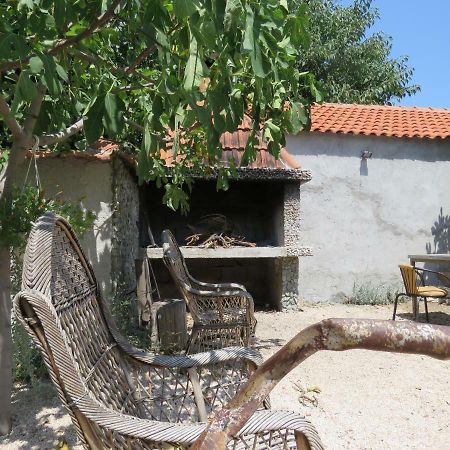 Guesthouse Dila Galovac  Buitenkant foto