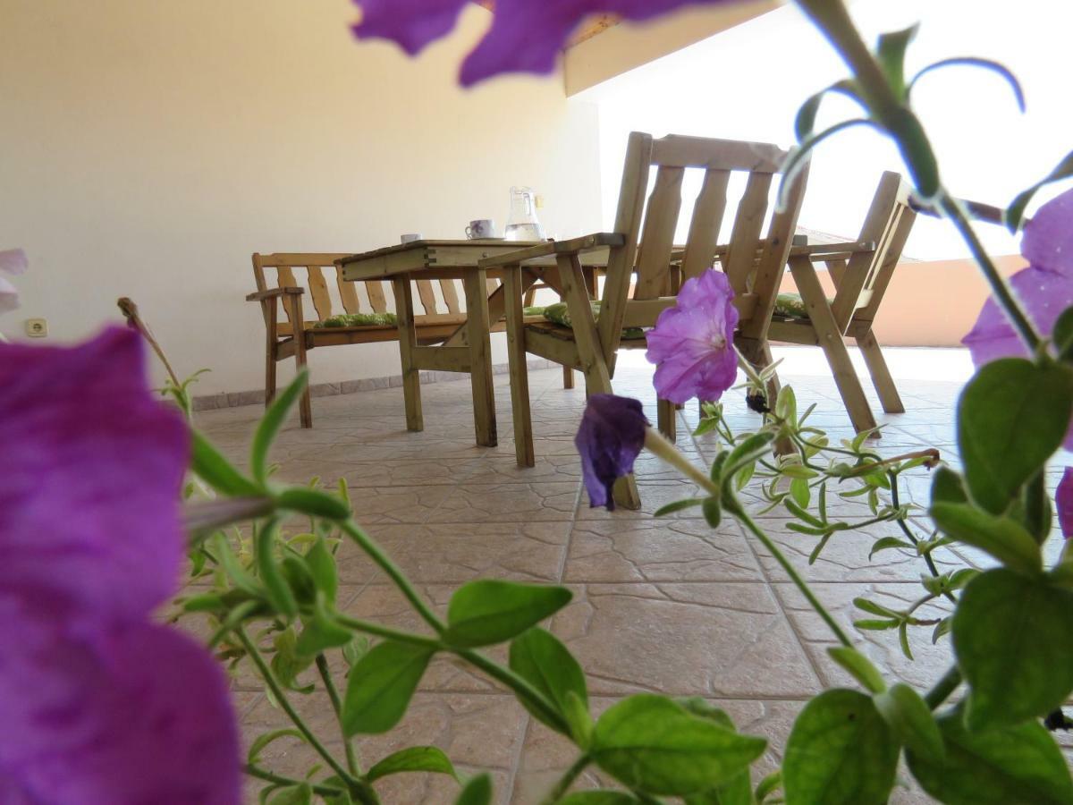 Guesthouse Dila Galovac  Buitenkant foto